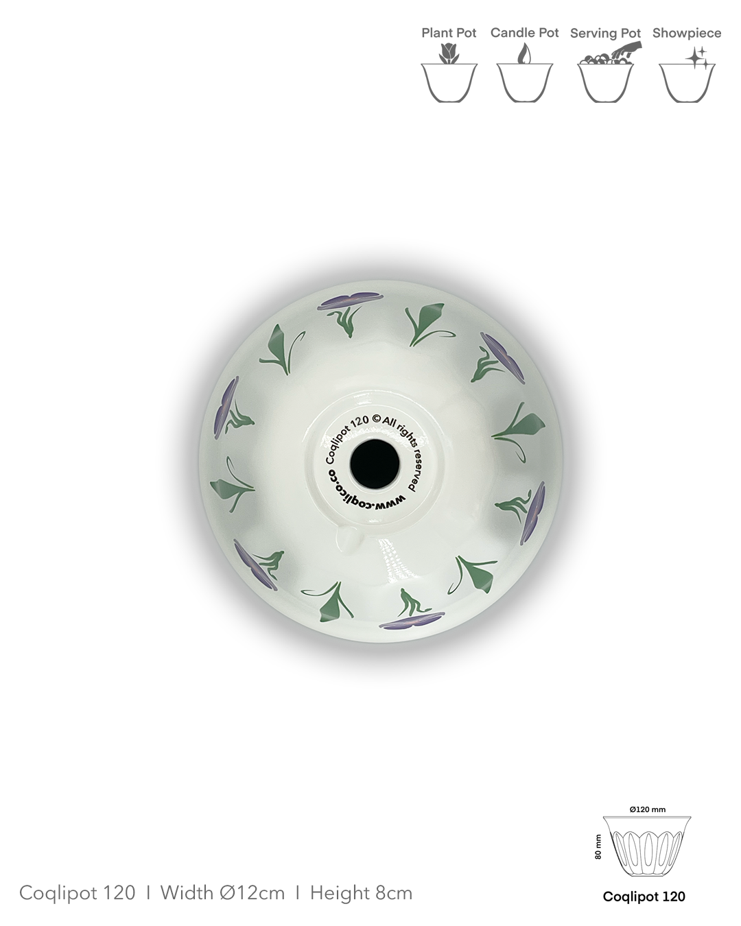 Coqlipot© 120 - Poppy - Purple