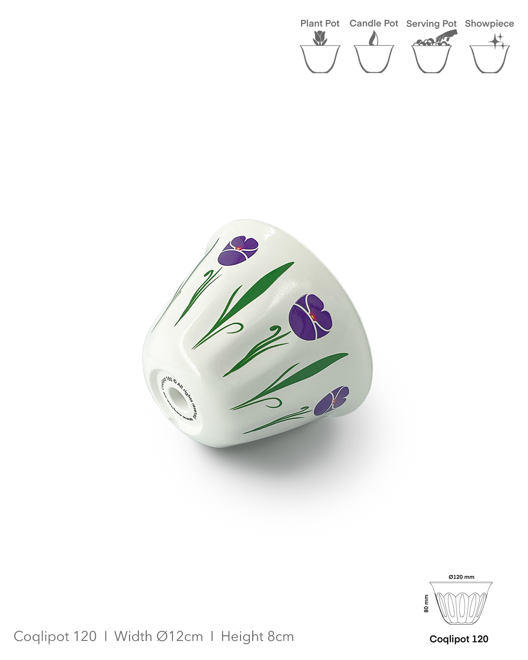 Coqlipot© 120 - Poppy - Purple