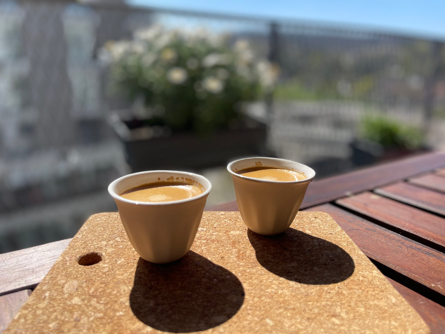 Coqlicup© 66 - Pre-Order NOW - Delivery August 2025