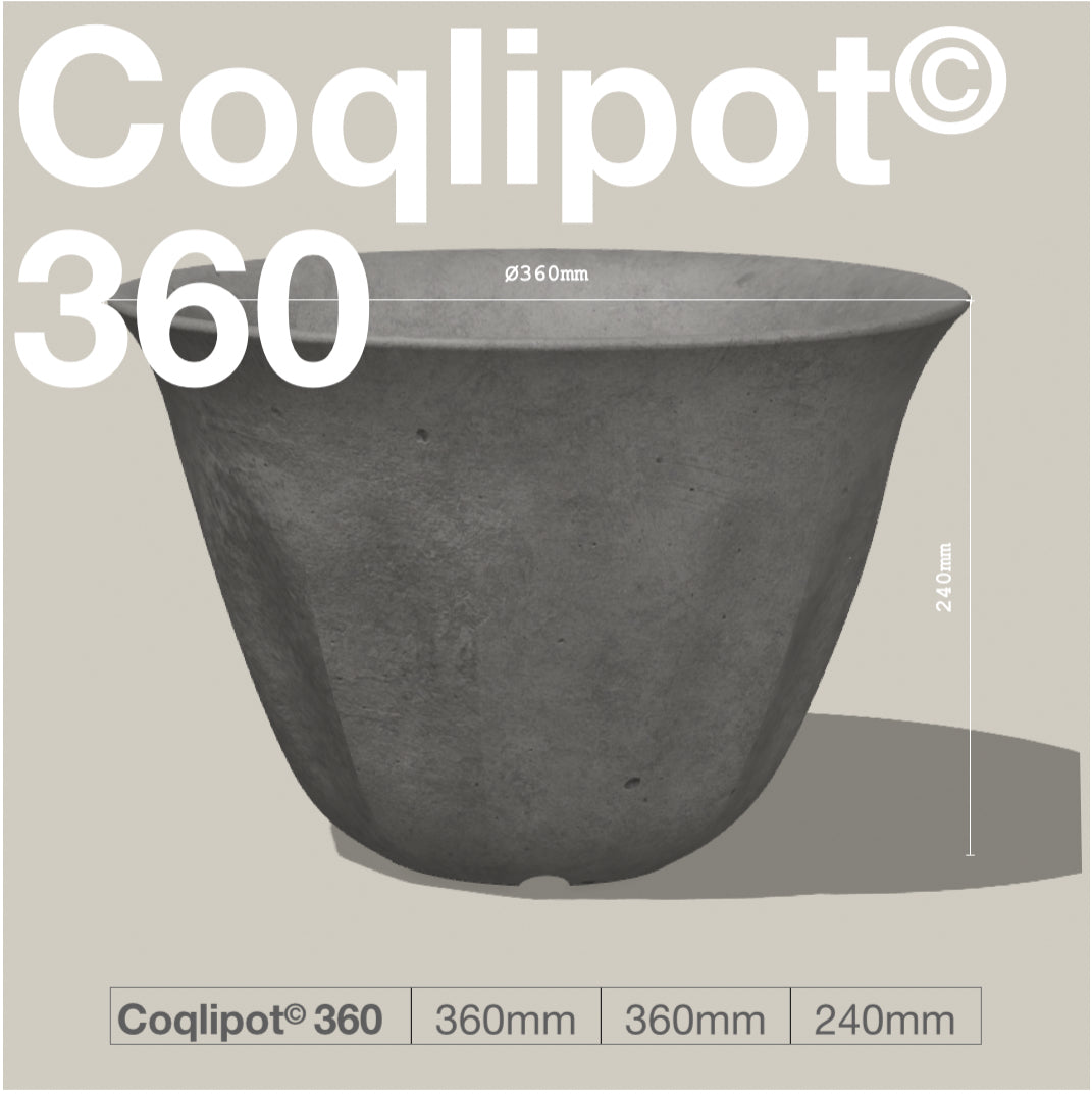 Coqlipot© 360